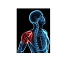 일상의한의원 이미지