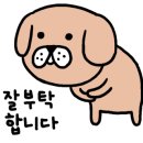 (주)청모터스 이미지