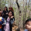 진안여중 이미지