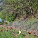 봄빛농장 이미지