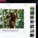 15 Monkeys 이미지