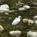 양명여자고등학교 이미지