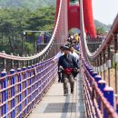천장호 출렁다리 이미지