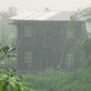 일신아파트 버스정류장 옆 이미지