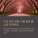 제10회 전국사랑나눔문화예술공연 및 실버가요제 | 제10회 광양벚꽃문화축제, 포스코 벚꽃길 따라 봄 감성 여행 떠나요!