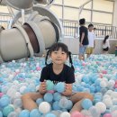 자이언트 태권도 이미지