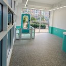 모모애견샵 이미지