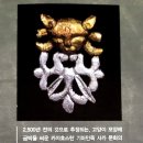 도도한고양이 이미지