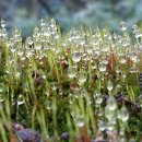 꾸지나무골해수욕장 이미지