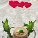 금계초교병설 이미지