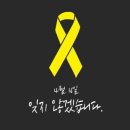 오늘의 세탁 이미지