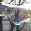 운동초교 병설유치원 이미지