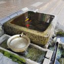 수목원생활온천 이미지