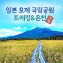 오제디자인 이미지
