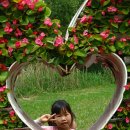 산월초교병설유치원 이미지