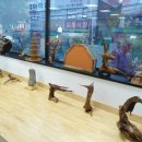 고바우문구 이미지