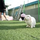 달콤체육관 이미지