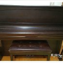 신월동118 이미지