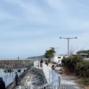 258 | 거제 지세포 낚시공원 차박 거제도 여행｜3,000원 가성비 낚시 명당 + 주차 바로 앞 데크
