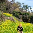 색달동-22 이미지