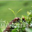 티소믈리에 양성과정 이미지