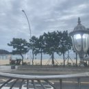 강남활어회센타 이미지