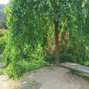 가평 가볼만한곳 아침고요수목원 아침고요동물원 카페 In a forest