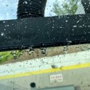 아포대로 이미지