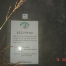 영춘농산 Daum카페