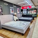 장수-2 | 장수돌침대 가격, 싱글 침대 둘러본 구로점 매장 후기