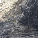 관매도해수욕장 이미지