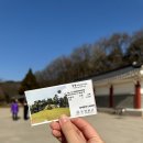 무릉도원면-9 | [왕과 사는 남자]보고 떠난 강원도 영월 웨이팅 없는 시간과 코스 후기