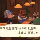 호롤로 이미지