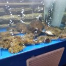 군자빌딩 이미지