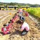 춤새마을농촌체험마을 이미지