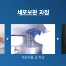 미라셀주식회사 이미지