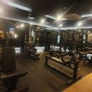 머슬원핏 이미지