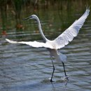 룰루랄라 이미지