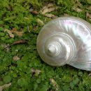 평거주공2차아파트 이미지