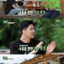 미미하우스 이미지