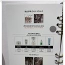 신미정아마르
