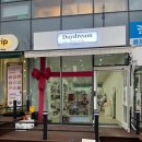 데이드림 오피스텔 | 싱싱한 꽃과 화분 종류가 많은 | 원주 꽃집 | 데이드림 플라워 방문 후기
