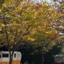 태안라온캠핑장 이미지