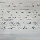 요기니테라피 네이버블로그
