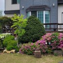 사람과 자연 이미지