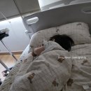 19개월 아기 노로바이러스 원인 입원 증상 회복기간 전염 로타바이러스 장염과 비교