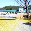 신녕서부초등학교 이미지