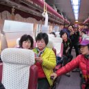 배꼽친구 이미지