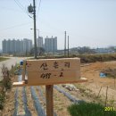 여주-0686 Daum카페