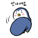 에스테틱오브도라